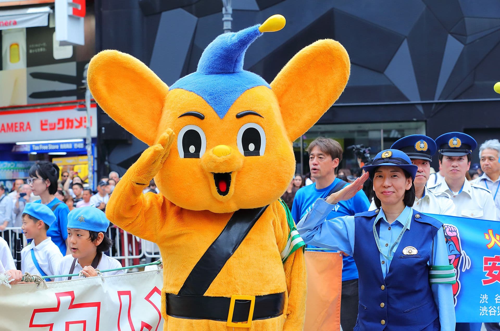 ギャラリー写真画像