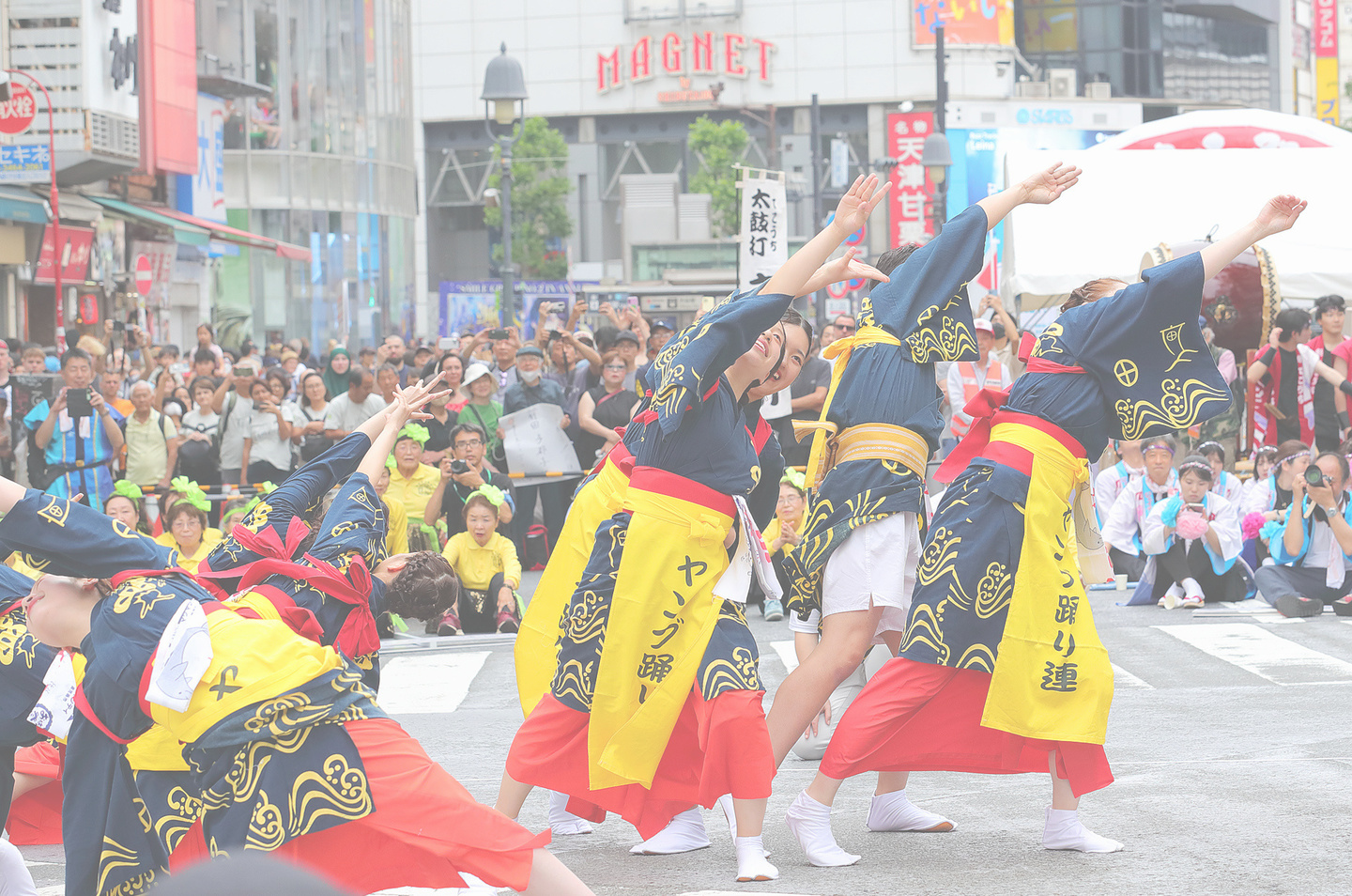 ギャラリー写真画像