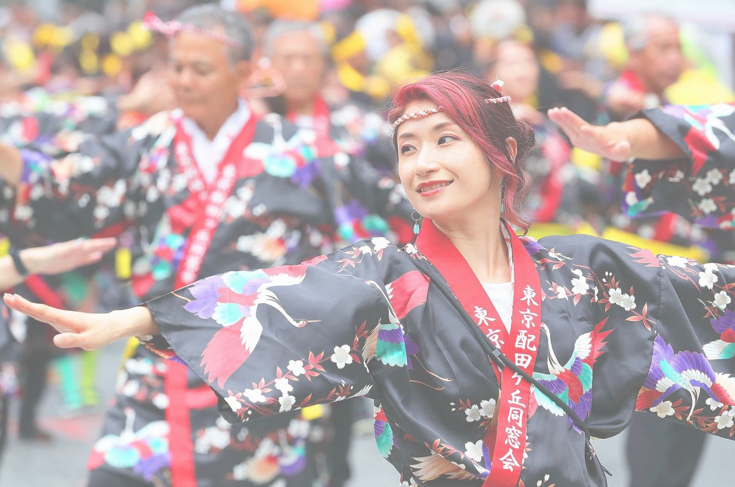 ギャラリー写真画像