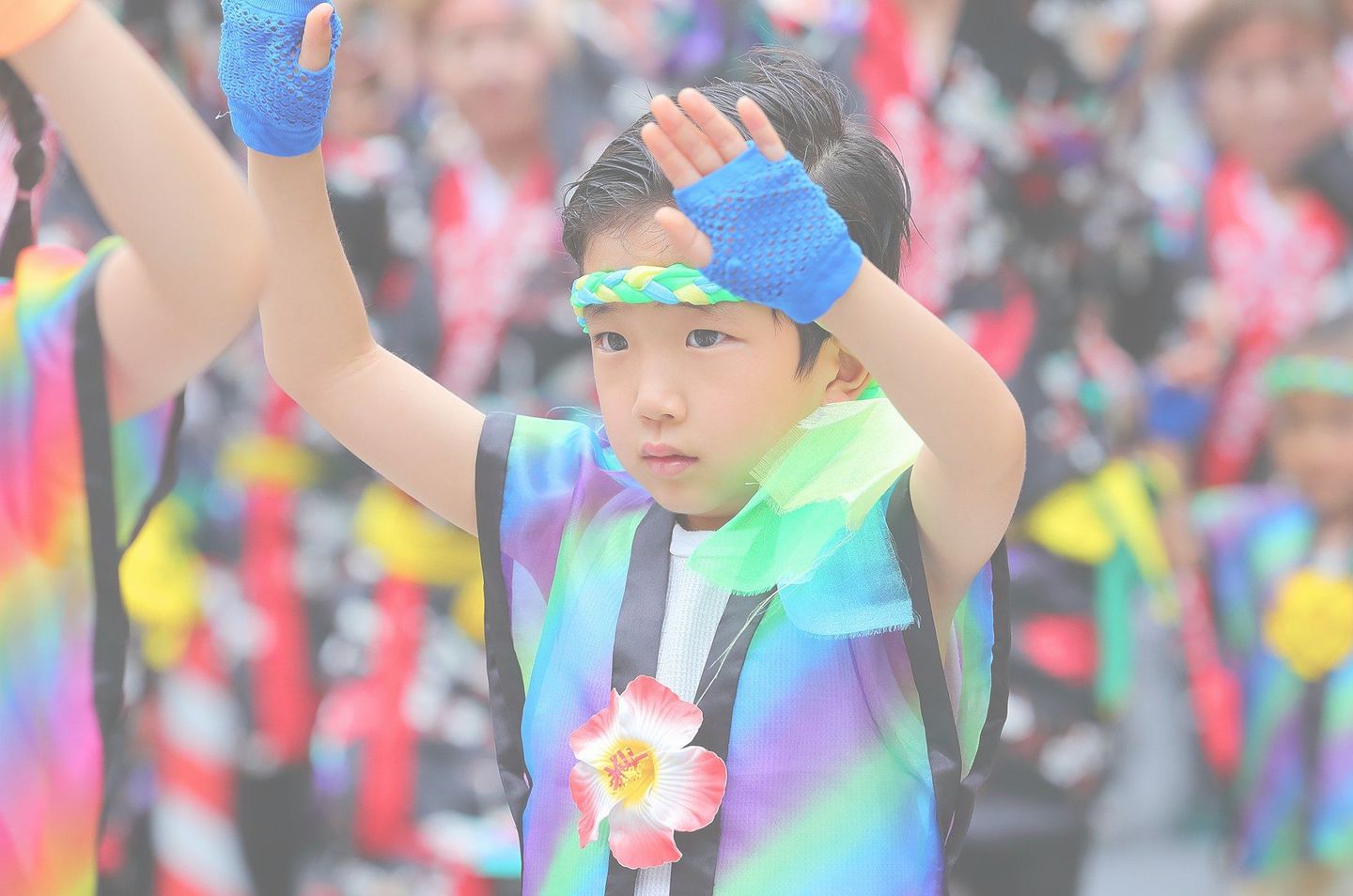 ギャラリー写真画像
