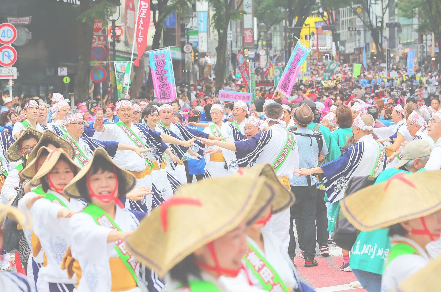ギャラリー写真画像