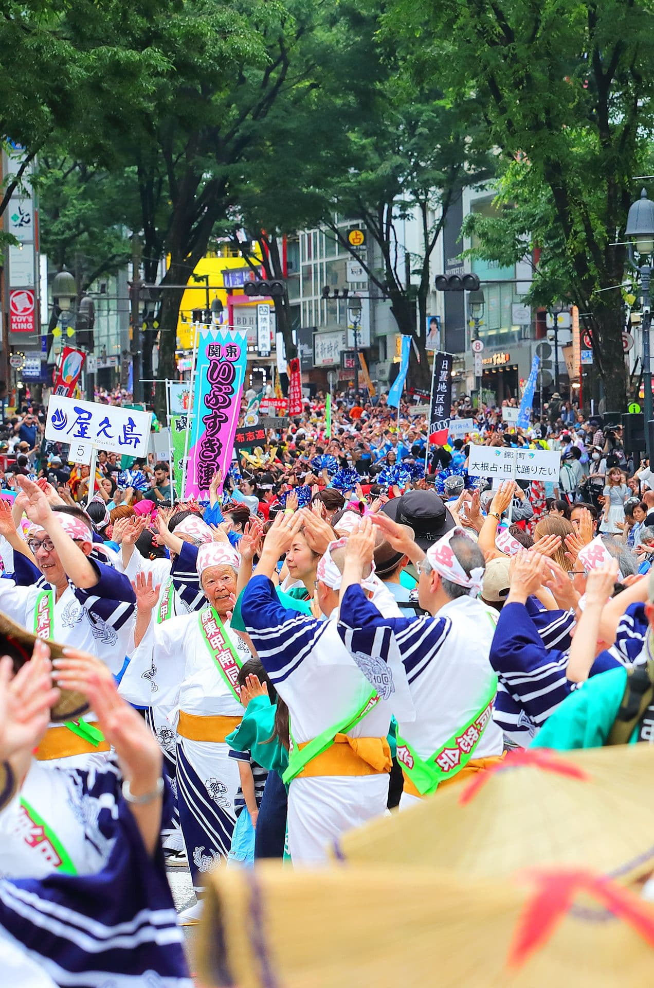ギャラリー写真画像