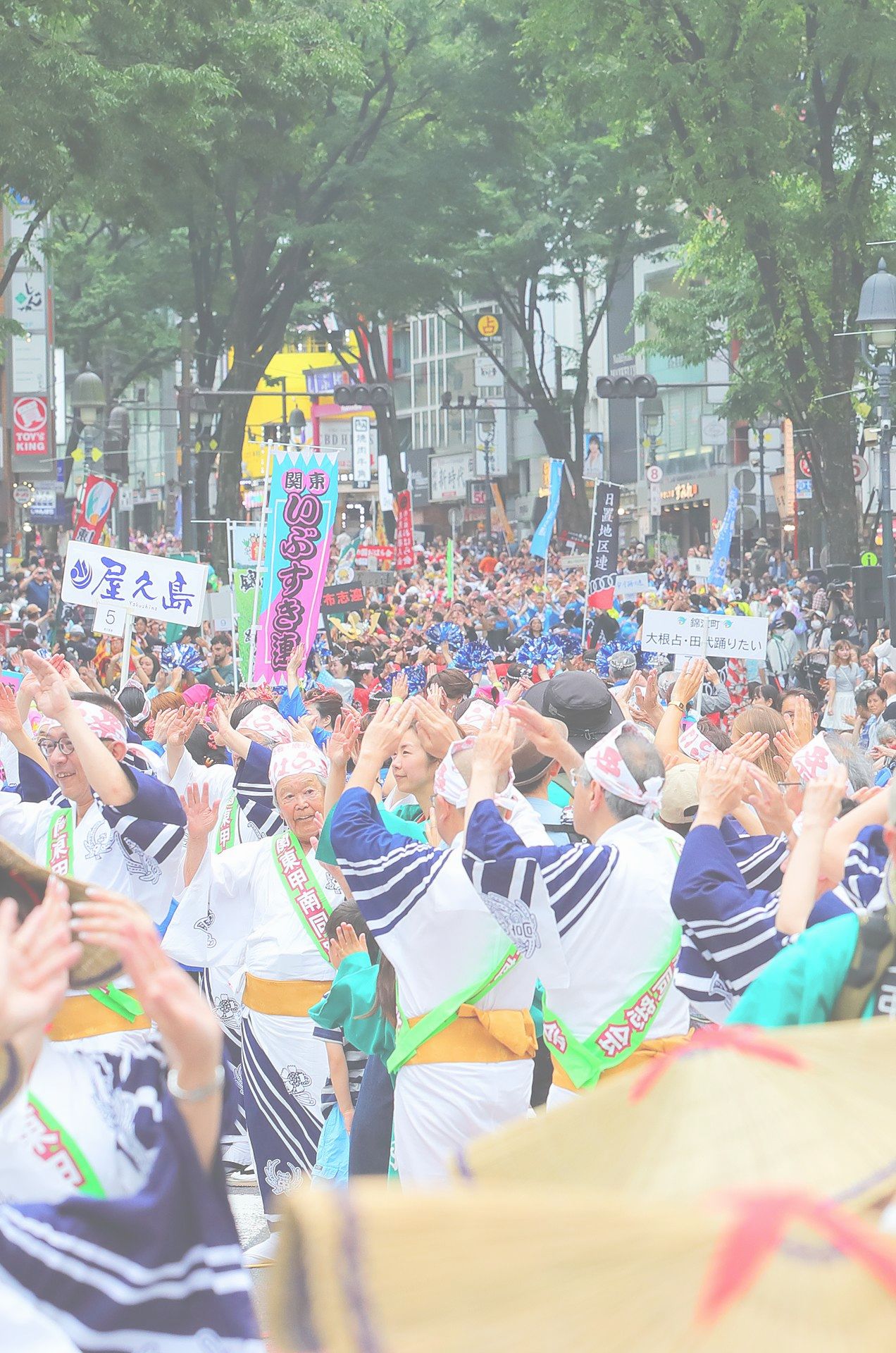 ギャラリー写真画像