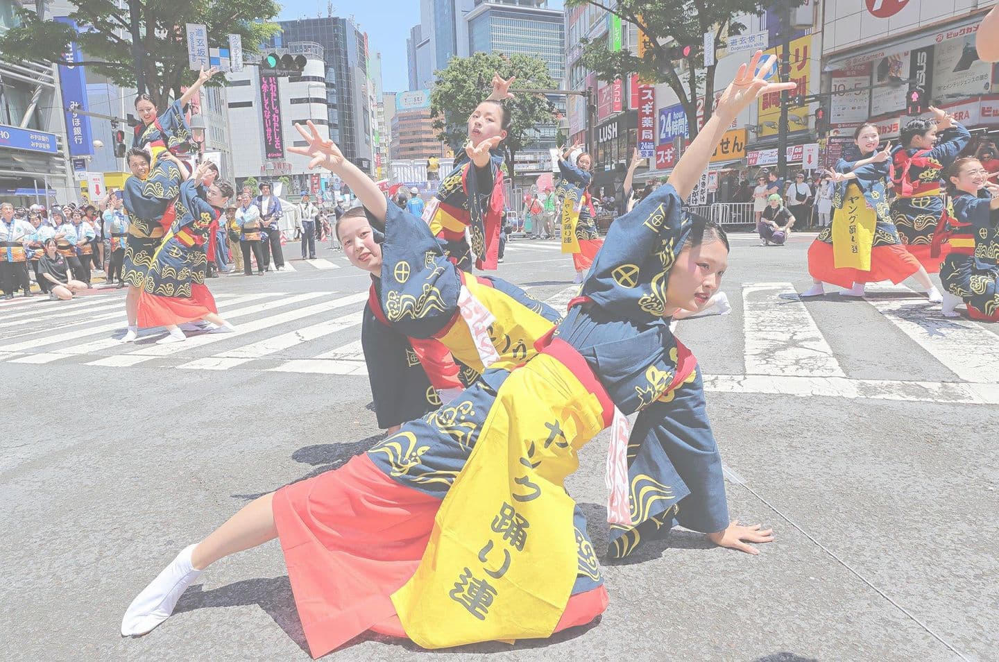 ギャラリー写真画像